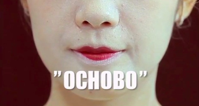 Ochobo