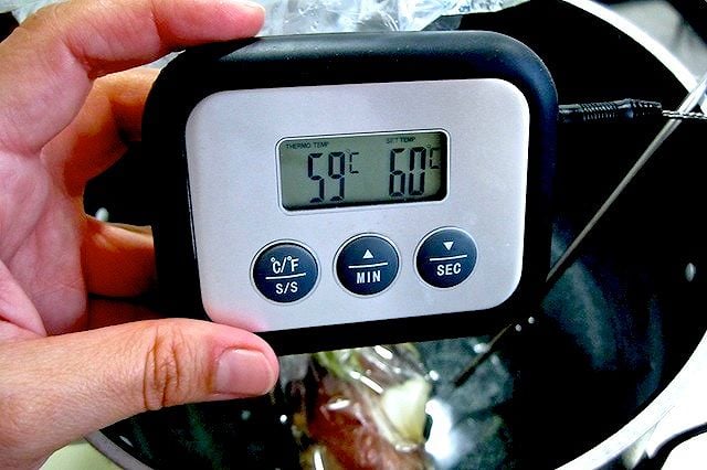 Cottura, bassa temperatura, termometro