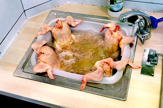 Pollo lavato