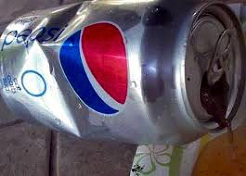 Rana nella lattina di Pepsi