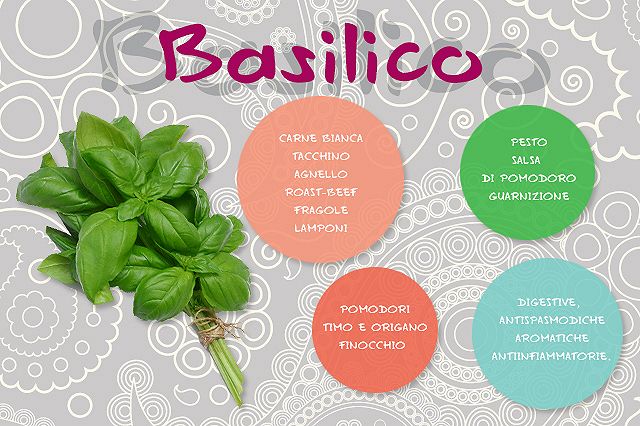 Auony chard//verde//prezzemolo//basilico//rosmarino Spogliarelliste per verdure