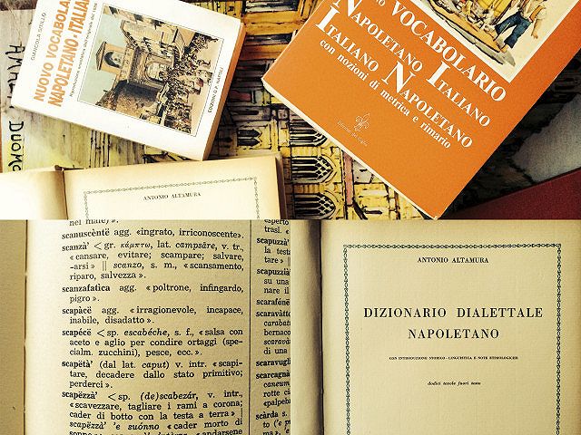 collage dizionario napoletano