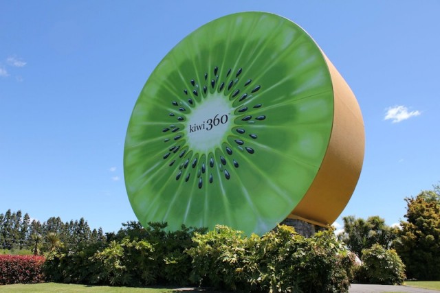 Kiwi 360, Nuova Zelanda