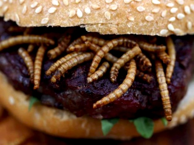 Hamburger con insetti e vermi