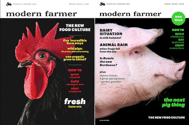 Modern Farmer, rivista