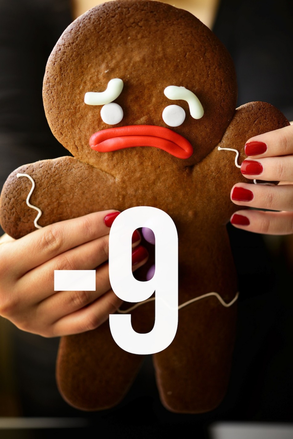 Regali di Natale fai da te, Gingermanbread