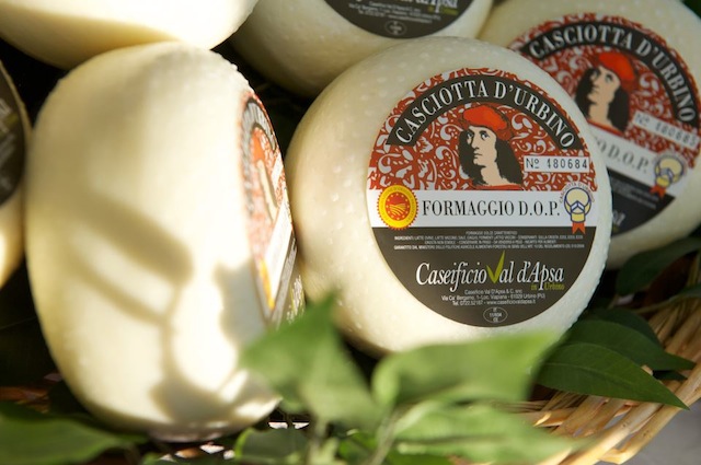 formaggi, marche, casciotta di Urbino
