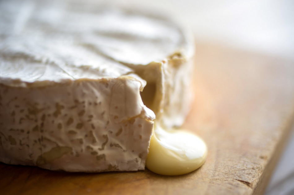 formaggio camembert