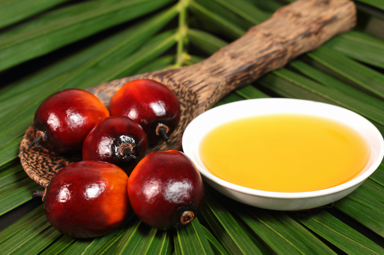 claim olio di palma