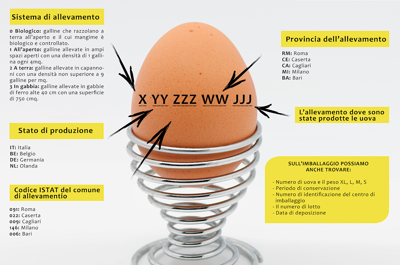 codice uova