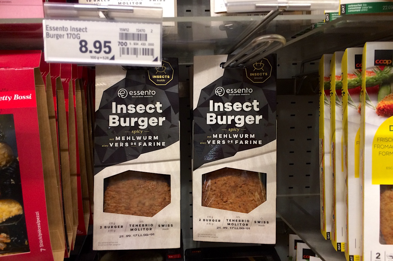 burger a base di insetti