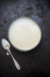 crema di yogurt nello stampo