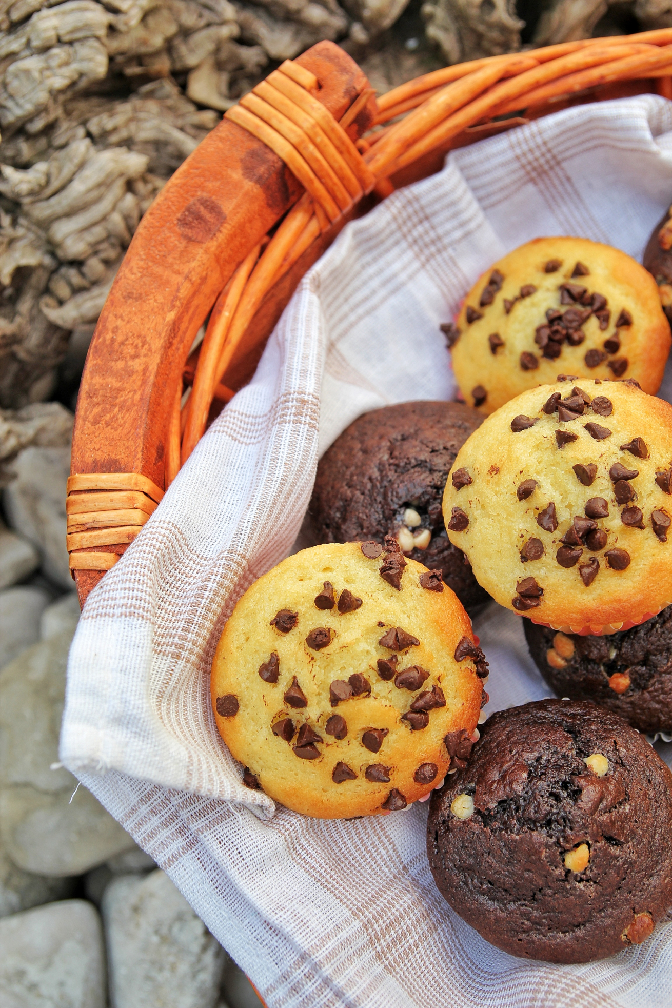 muffin-cioccolato-fondente-babb