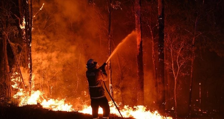 La sequía y las altas temperaturas aumentan los incendios: +153% en 2022