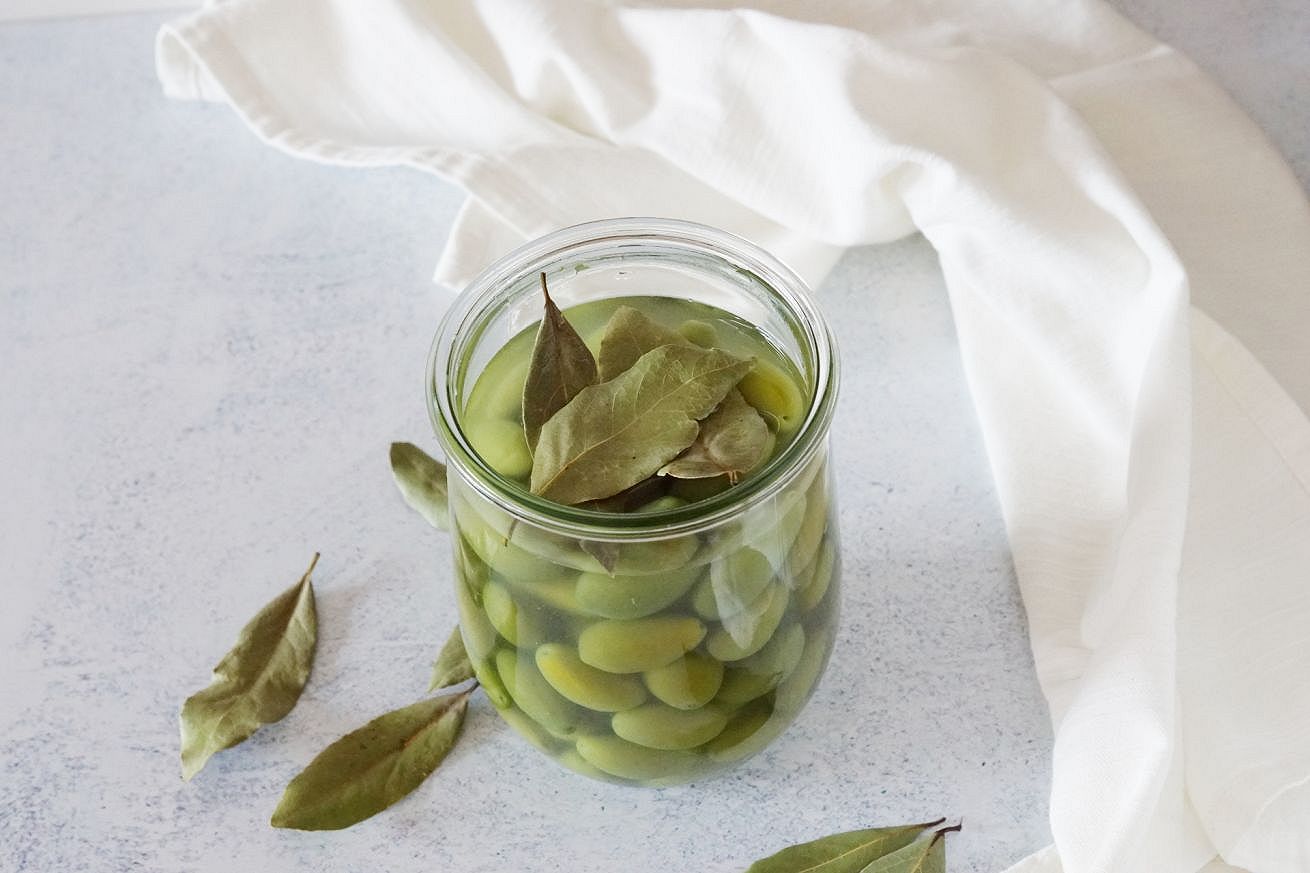 olive in salamoia conserva