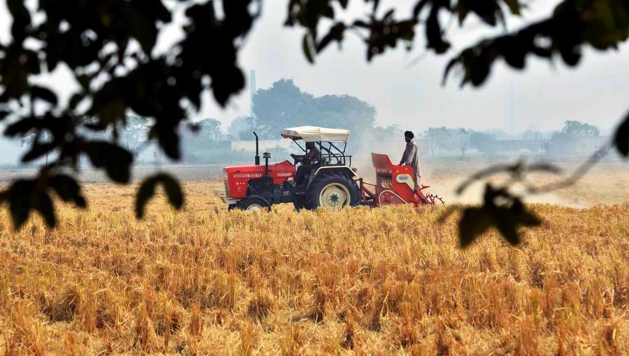 India-agricoltura