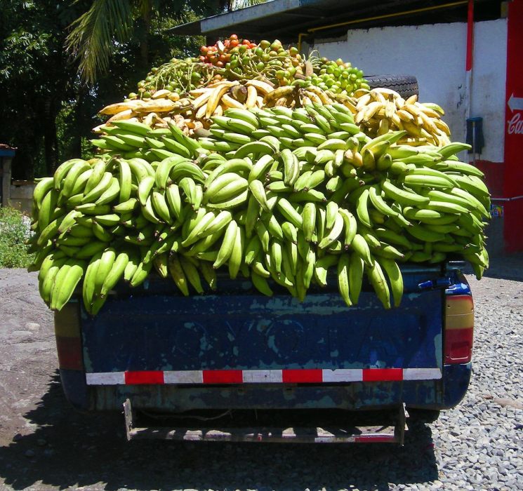 Camion frutta