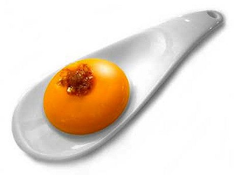 2003 | Raviolo sfrico di mango, un piatto del ristorante El Bulli