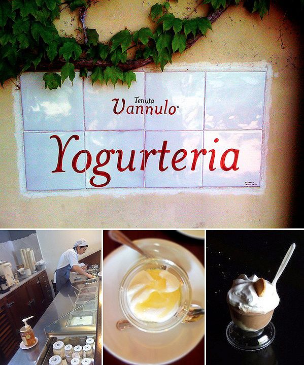 vannulo, yogurt, gelato, mozzarella, bufala
