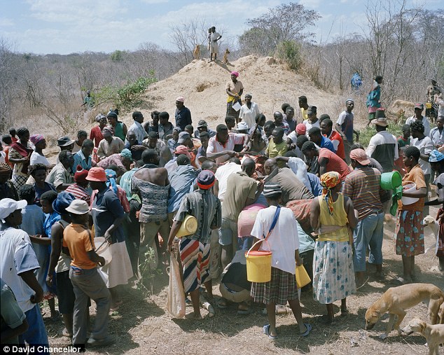 Gli abitanti del villaggio cominciano a scuoiare l'elefante con machete, asce, e coltelli